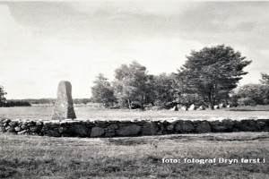 Bilde av Elgesem - den fredede gravplassen